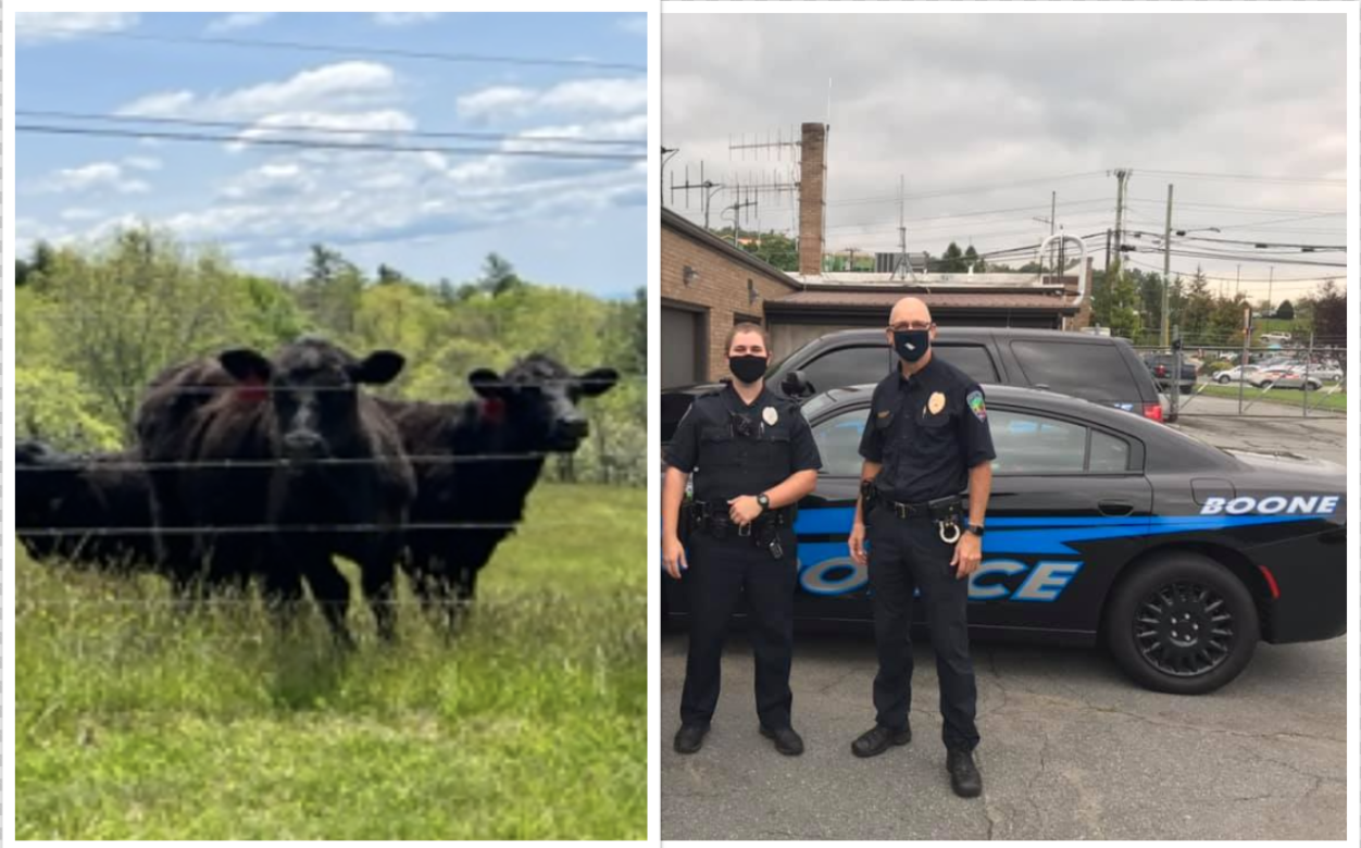 Boone Police Department, NC